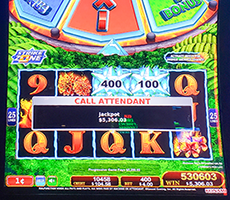 Another jackpot winner at Baji999 Casino Resort near Canada