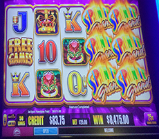 Another jackpot winner at Baji999 Casino Resort near Canada