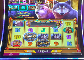 Another jackpot winner at Baji999 Casino Resort near Canada
