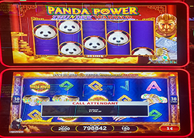 Another jackpot winner at Baji999 Casino Resort near Canada