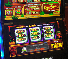 Another jackpot winner at Baji999 Casino Resort near Canada