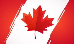 Canadian Special Promotions at Baji999 Casino Resort Upstate New York near Canada